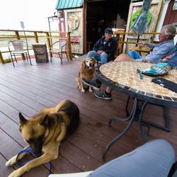 Copper Hop Ranch & Microbrewery