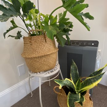 Danielle Doyle Yoga + Massage - Air purifier - Yoga Near Me - Needham, Massachusetts