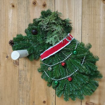 Hague's Christmas Trees - Popular with dog lovers - Christmas Trees Near Me - Hatfield, Pennsylvania
