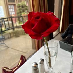 Florentine Trattoria - Beautiful rose on our table!