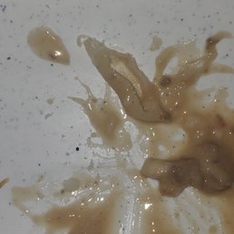 Plastic in the to-go Gravy.