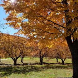 Hurd Park - Autumn in NJ