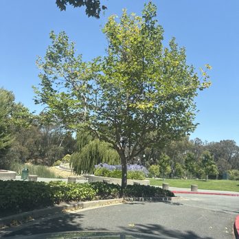 Refugio Valley Park - Tennis Courts - Tennis Near Me - Hercules, California