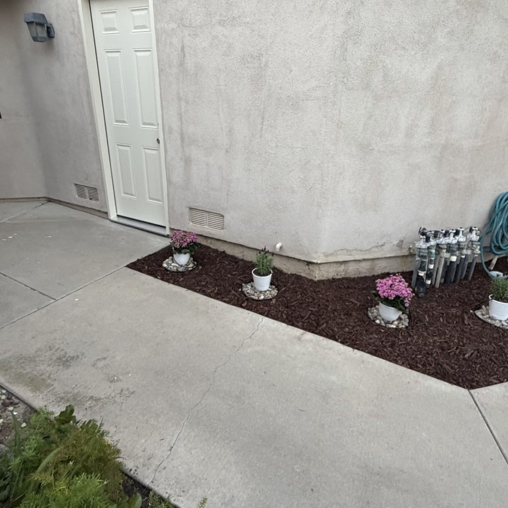 Coastland landscape paint services - Checkout these awesome flowers - Painters Near Me - Ventura, California Coastland landscape paint services - Checkout these awesome flowers - Painters Near Me - Ventura, California