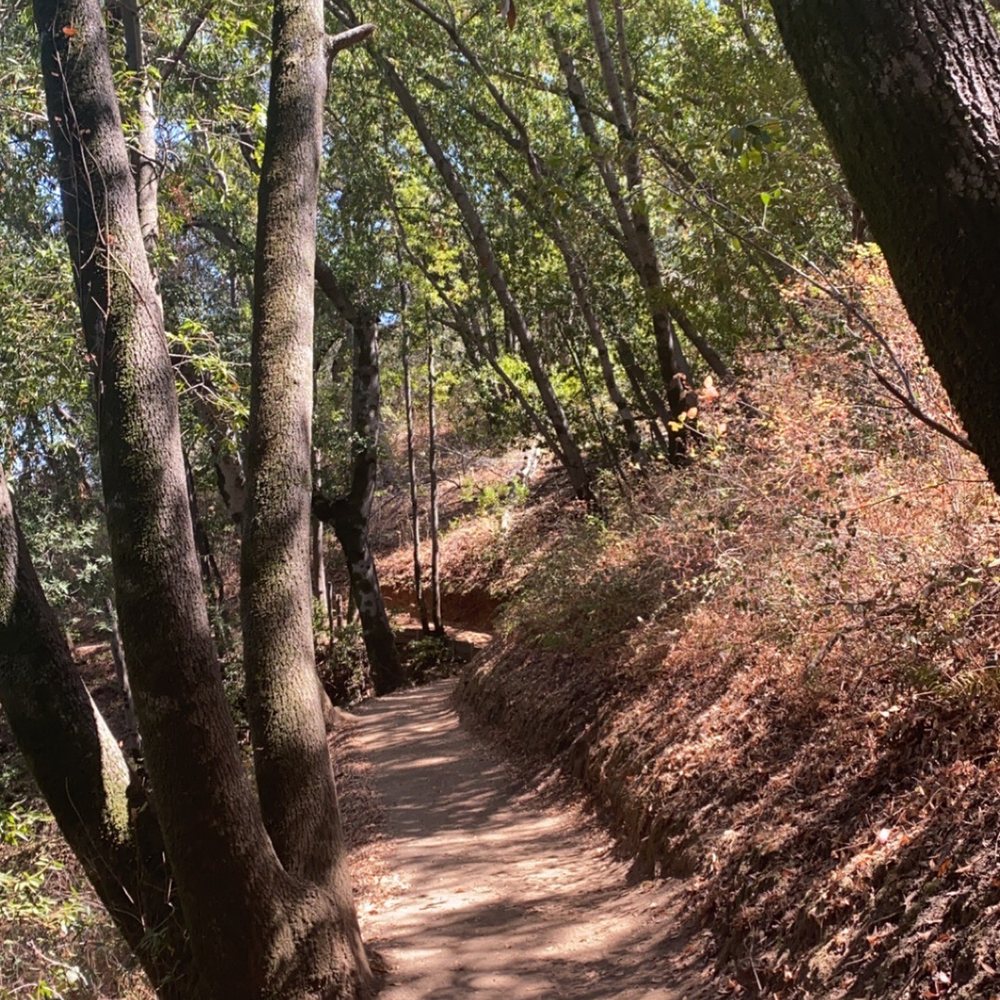 Zinfandel Trail - Hiking Near Me - Cupertino, California Zinfandel Trail - Hiking Near Me - Cupertino, California