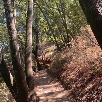 Zinfandel Trail - Hiking Near Me - Cupertino, California Zinfandel Trail - Hiking Near Me - Cupertino, California