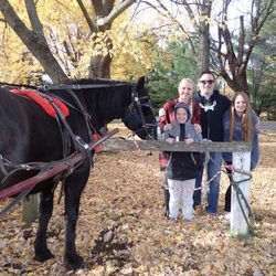 Cabin Ridge Rides - Harry the horse
