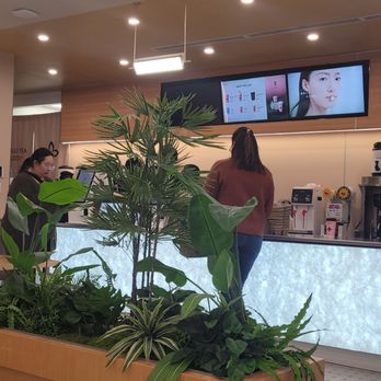 Molly Tea - Inside - Bubble Tea Near Me - Sunnyvale, California Molly Tea - Inside - Bubble Tea Near Me - Sunnyvale, California