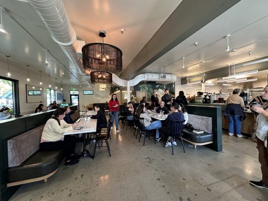 Macrina Bakery & Cafe by null