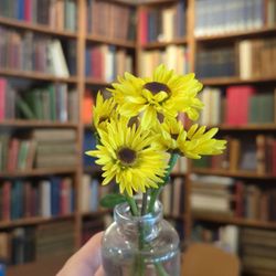 The Dusty Bookshelf - Live flowers and plants everywhere, plus antique tomes of the knowledge of yore!