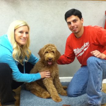 The Dog Diva - Pet Training Near Me The Dog Diva - Pet Training Near Me