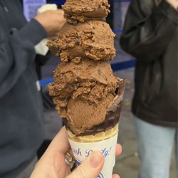 Handel’s Homemade Ice Cream - Small cone