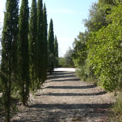 Gaiole