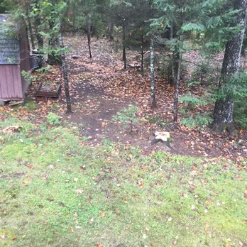 Beaman Tree Service - All clear no mess, thanks Jeff! - Tree Services Near Me - Phelps, Wisconsin