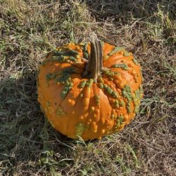 Eastmont Orchards