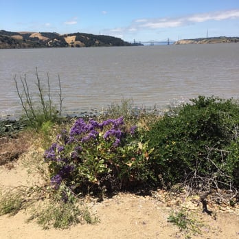Club Pacifica Apartments - Apartments Near Me - Benicia, California