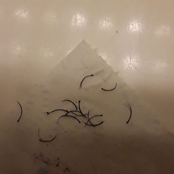 Lash Moi Salon - Eyelash Service Near Me - Bowie, Maryland