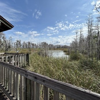 Tibet-Butler Preserve - Parks Near Me - Orlando, Florida Tibet-Butler Preserve - Parks Near Me - Orlando, Florida