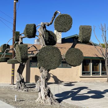 Orange Grove RV Park - RV Parks Near Me - Bakersfield, California