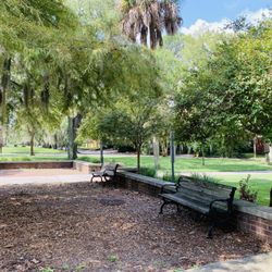 Baldwin Park - Benches underneath shade!