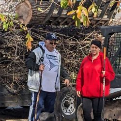Lobo Tree Service - This is the owner and he was unbelievably unprofessional and rude. He told us to stop talking.