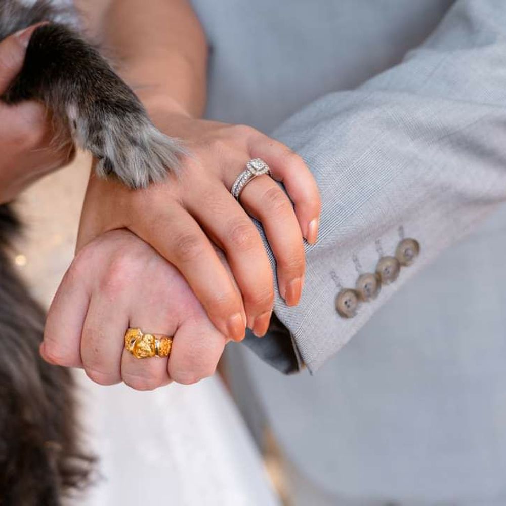 Rachelle Photography - Pawfect shot. - Event Photography Near Me - Sacramento, California Rachelle Photography - Pawfect shot. - Event Photography Near Me - Sacramento, California