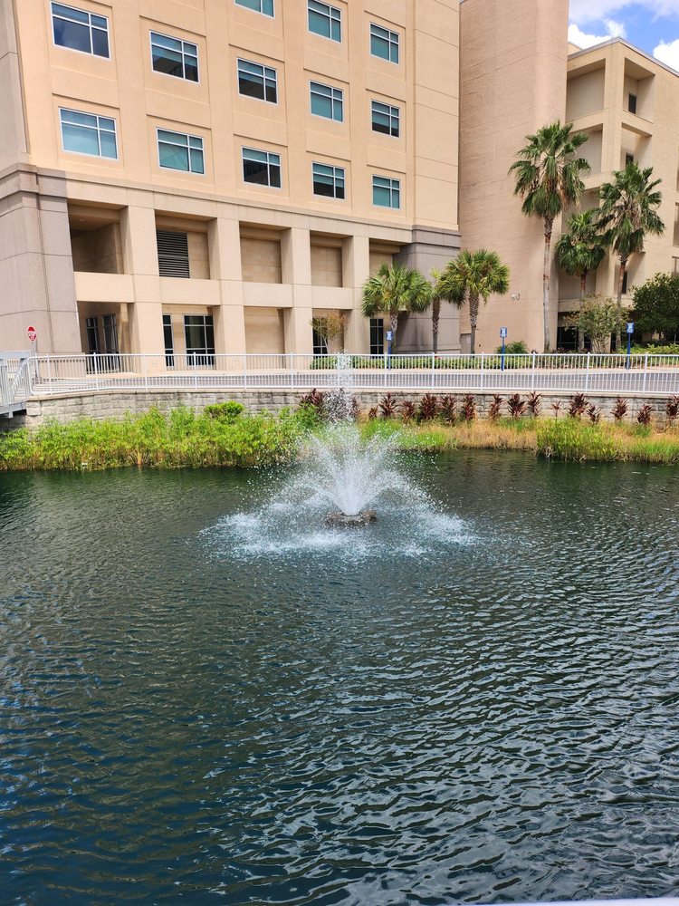Memorial Hospital Jacksonville - patient advocate in Jacksonville, FL