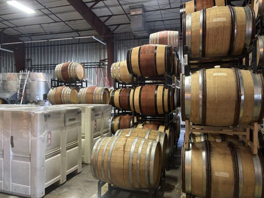 The Ordinary Fellow by null