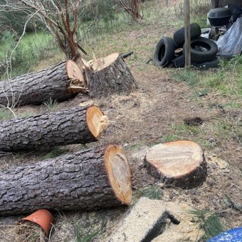Tbone Tree Service Environmental Care - Tree Services Near Me Tbone Tree Service Environmental Care - Tree Services Near Me