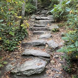 Blue Ridge Parkway Foundation - Hiking trail.