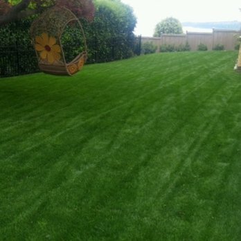 Clean Air Lawn Care - Lawn maintained organically! - Gardeners Near Me - Seattle, Washington Clean Air Lawn Care - Lawn maintained organically! - Gardeners Near Me - Seattle, Washington
