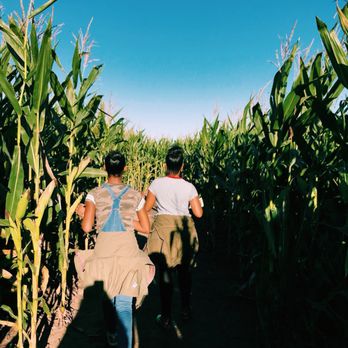 Jonamac Orchard - Fruits & Veggies Near Me - Malta, Illinois