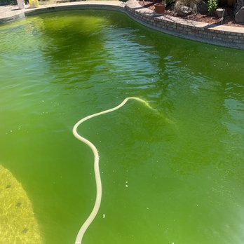 Epic Pool and Spa - Customer called per their pool turning green - Pool Cleaners Near Me Epic Pool and Spa - Customer called per their pool turning green - Pool Cleaners Near Me