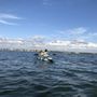 Photo of Kayak Fishing Adventures