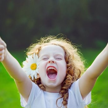 Paul Sekulic DDS - I love my dentist. :) - General Dentistry Near Me - Hamilton, Ohio Paul Sekulic DDS - I love my dentist. :) - General Dentistry Near Me - Hamilton, Ohio