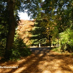 Stadtpark Chemnitz