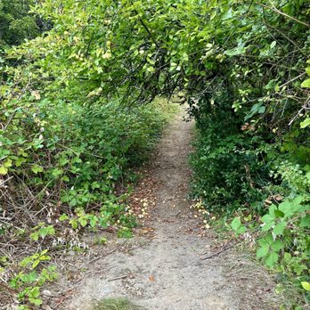 Snoqualmie Valley Trail - Hiking Near Me - Duvall, Washington Snoqualmie Valley Trail - Hiking Near Me - Duvall, Washington