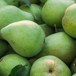 Tree Ripe Fruit - Oregon Pears