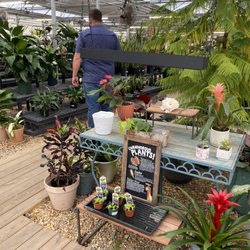 Garden Bar - Outdoor garden area