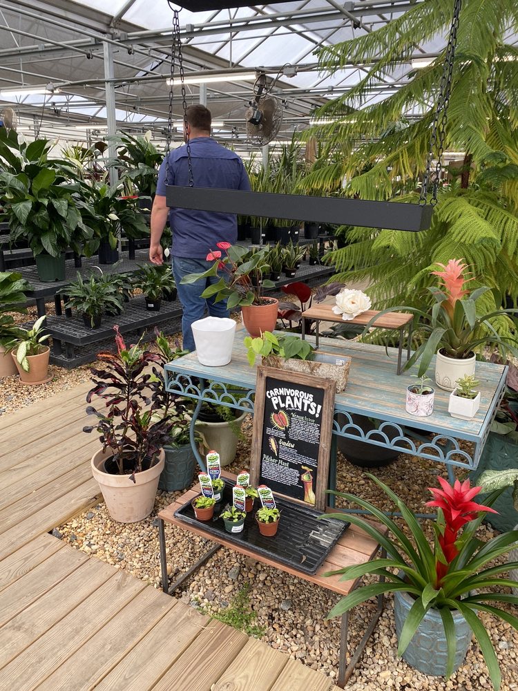 Garden Bar, Raleigh Roadtrippers