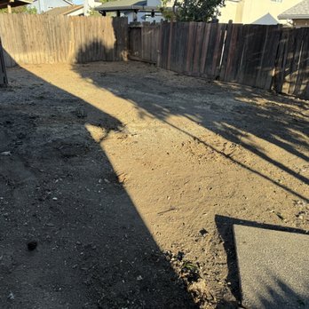 Catalpa Tree Specialist - They removed five trees in total, including one very large tree and several smaller ones, and filled the ground perfectly afterward. - Tree Services Near Me Catalpa Tree Specialist - They removed five trees in total, including one very large tree and several smaller ones, and filled the ground perfectly afterward. - Tree Services Near Me