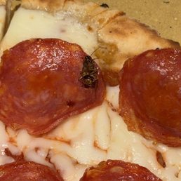A roach, a topping I didn't select on my Diavola pie