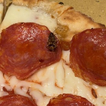 Piola - A roach, a topping I didn't select on my Diavola pie - Pizza Near Me - Hallandale Beach, Florida