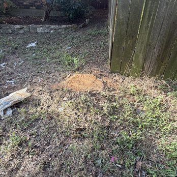 Joe’s Trees and Lands - Tree Services Near Me - Austin, Texas Joe’s Trees and Lands - Tree Services Near Me - Austin, Texas