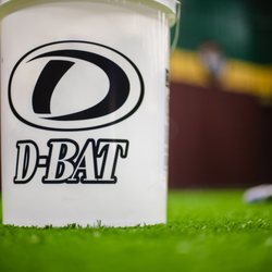 D-BAT Lexington