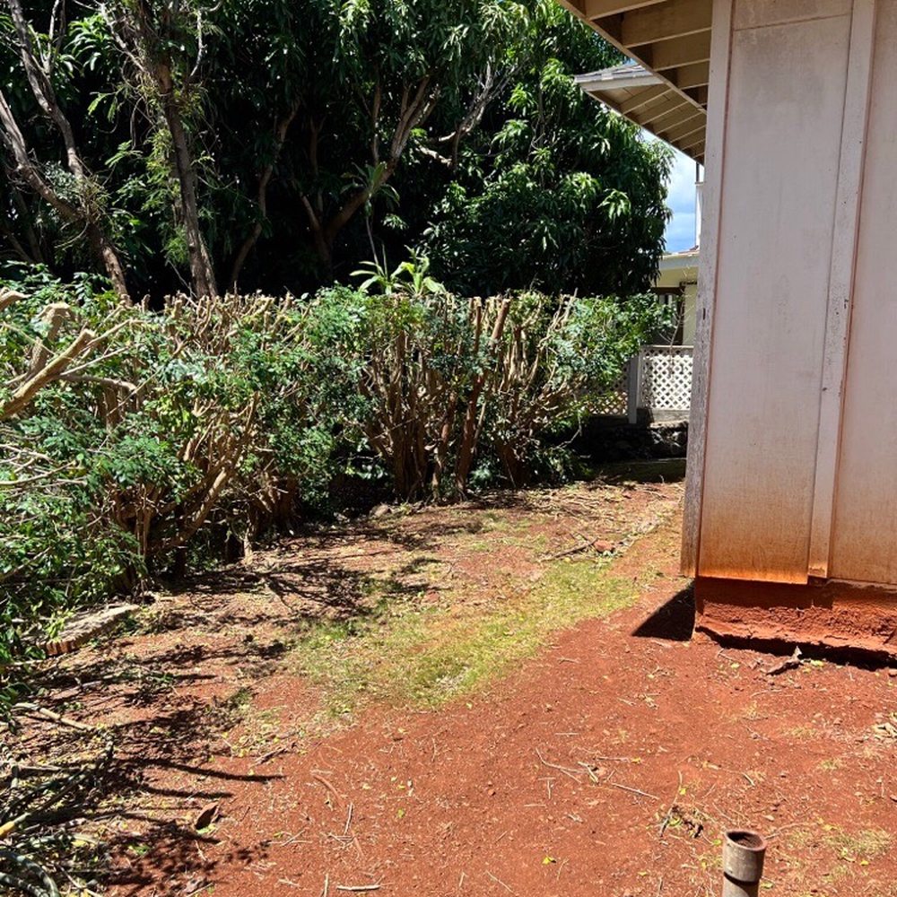 Treescape Hawaii - Tree Services Near Me - Ewa Beach, Hawaii Treescape Hawaii - Tree Services Near Me - Ewa Beach, Hawaii