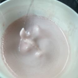 Wendy's - Very long hair deep inside the shake