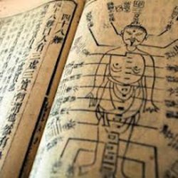 Ascending Phoenix Acupuncture