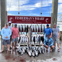 Blue Water Excursions
