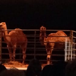 Cornerstone Church - Call if the wild. Back to school weekend!